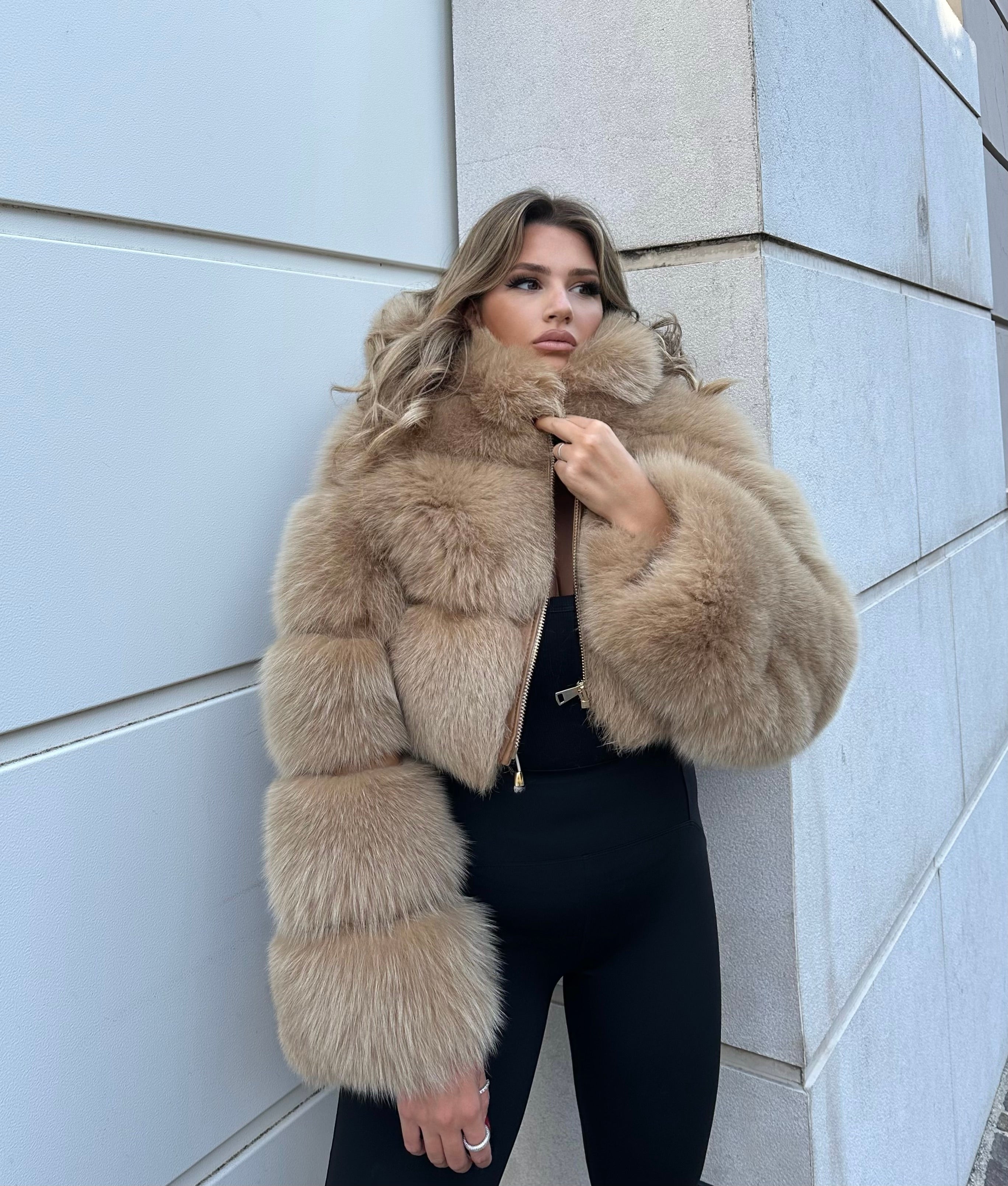 Volpe Gold