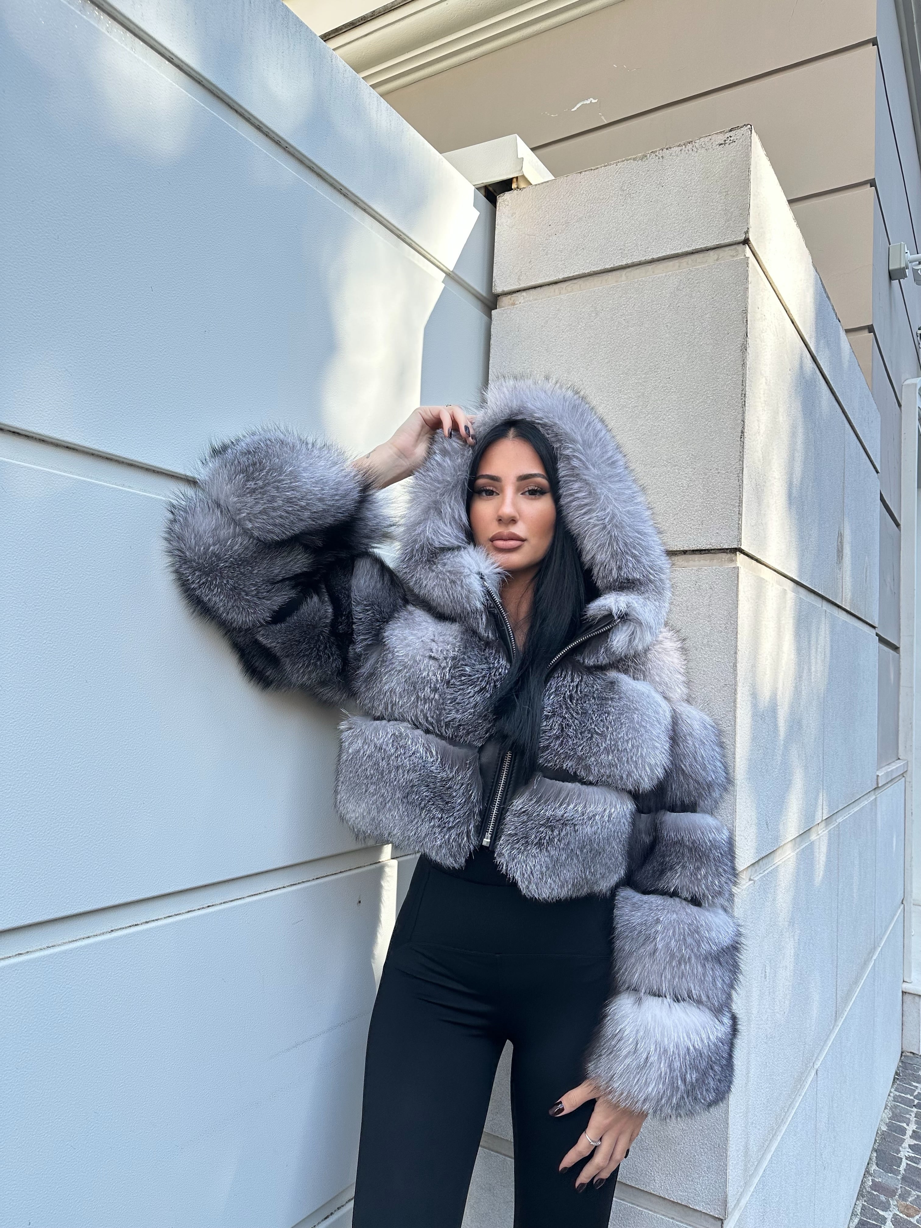 Volpe argentata - Atelier Vergara